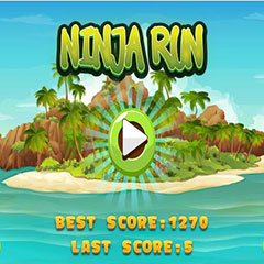 Ninja Run 5
