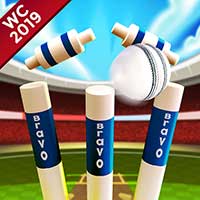 Cricket World Cup Game 2019 Mini Ground Cricket